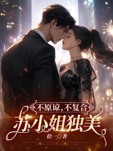 不原谅不复合苏小姐独美免费阅读全文